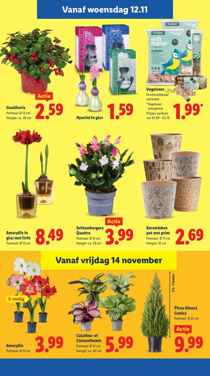 Lidl folder – pagina 20