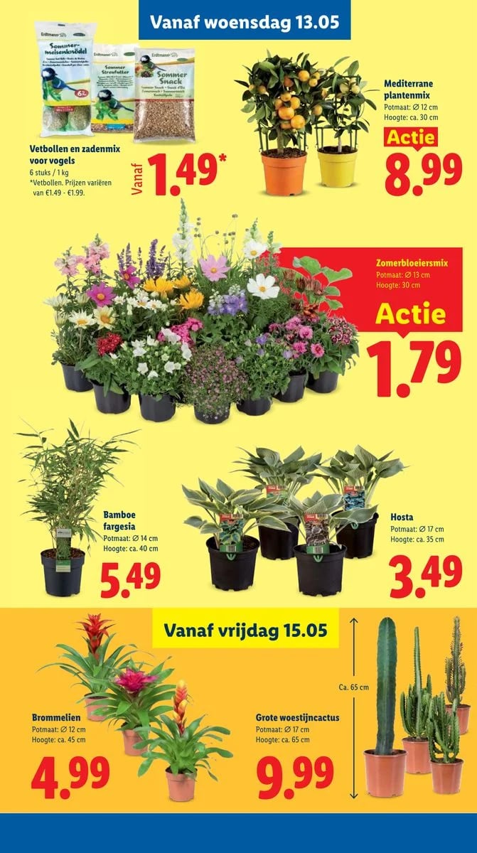 Lidl folder – pagina 31