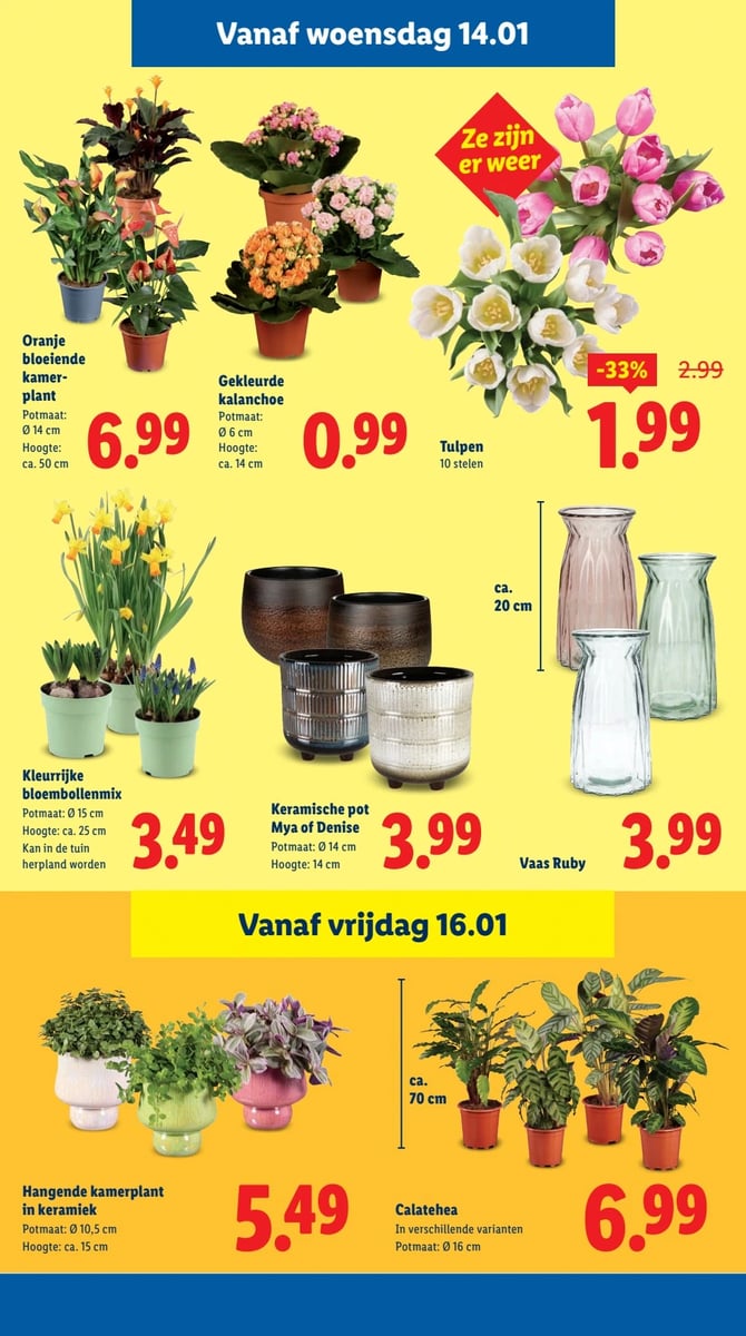 Lidl folder – pagina 14