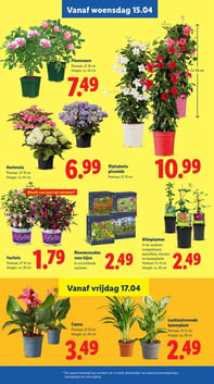 Diplademia piramide aanbieding bij Lidl – geldig van 15.04.2026 t/m 19.04.2026