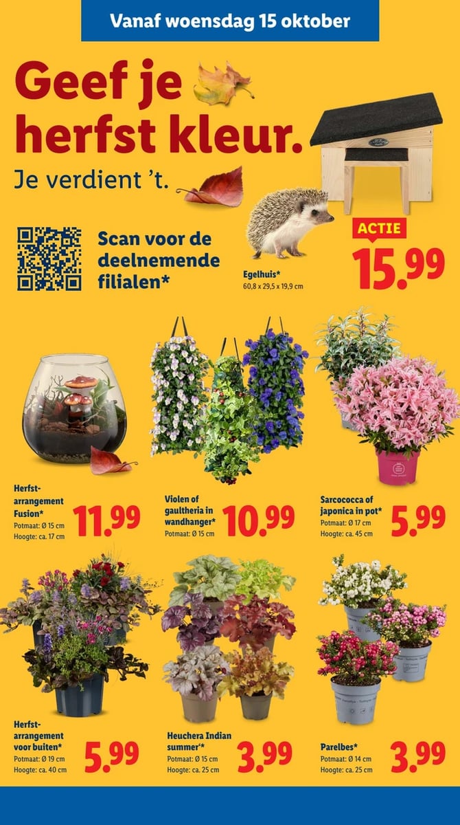 Lidl folder – pagina 30