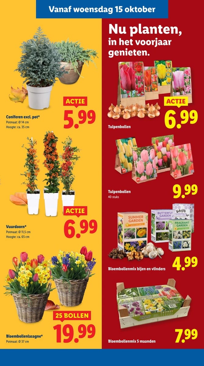 Lidl folder – pagina 31