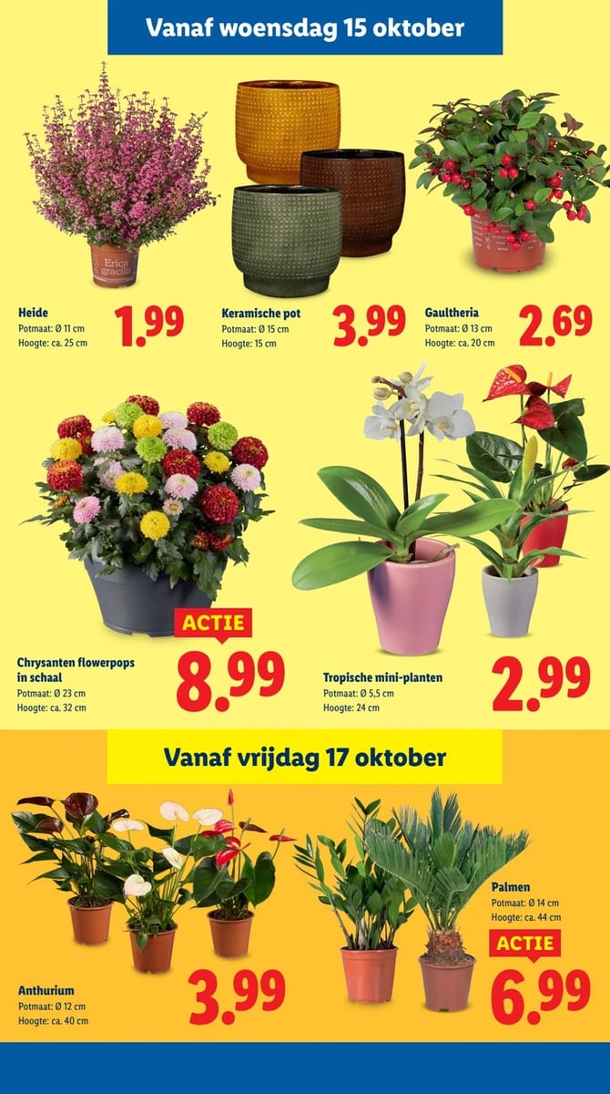 Lidl folder – pagina 29