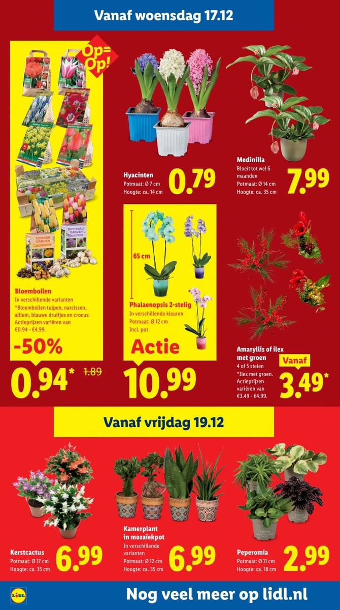 Lidl folder – pagina 24