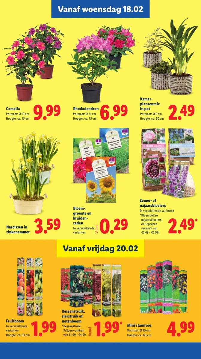 Lidl folder – pagina 15