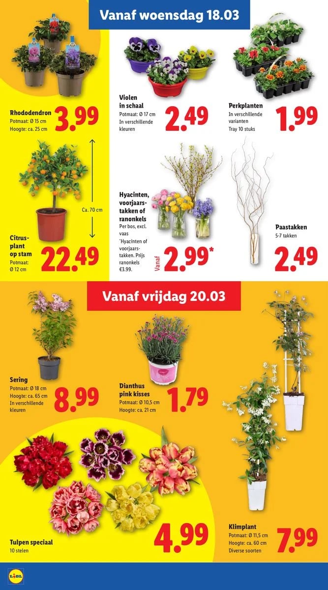 Lidl folder – pagina 18