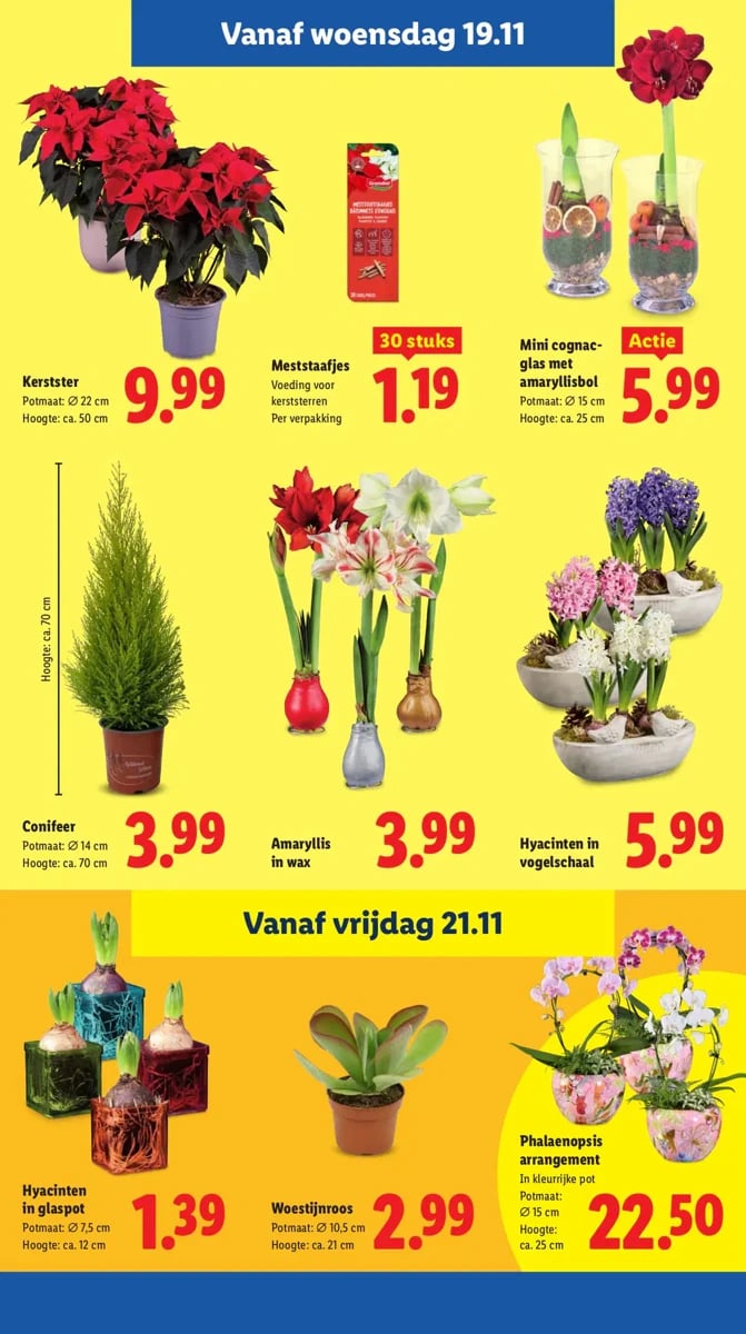 Lidl folder – pagina 17