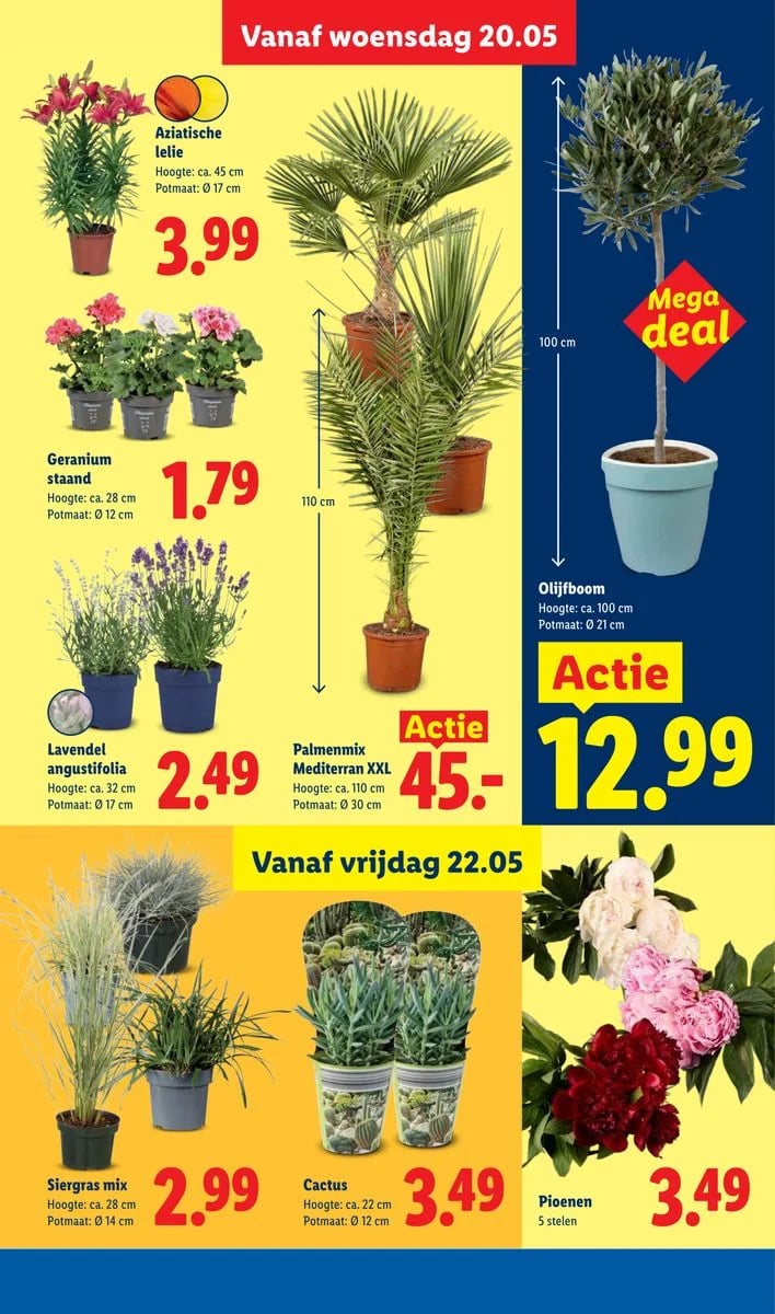 Lidl folder – pagina 29