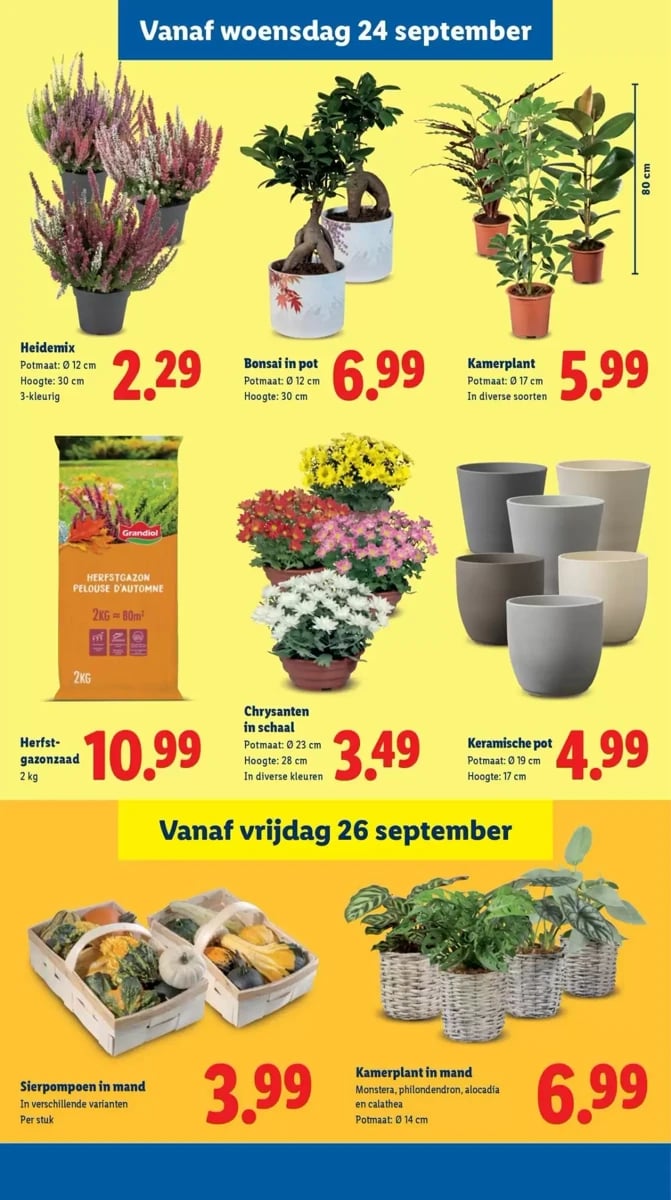 Lidl folder – pagina 18