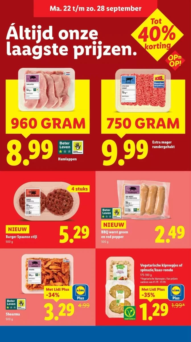 Lidl folder – pagina 13