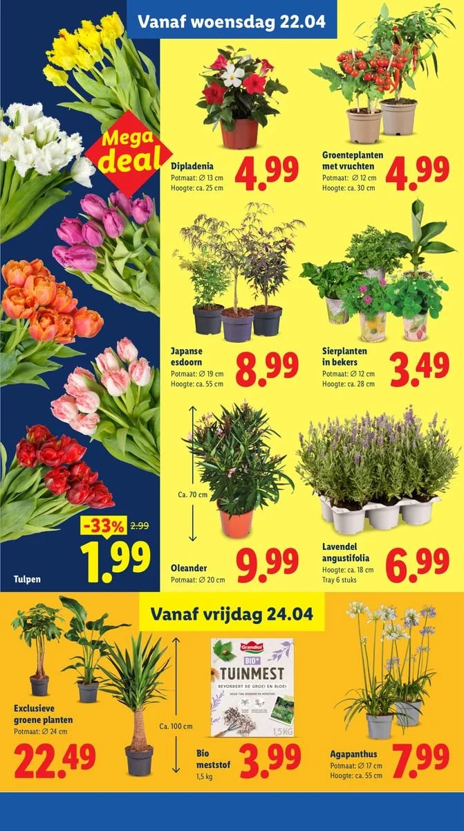 Lidl folder – pagina 23
