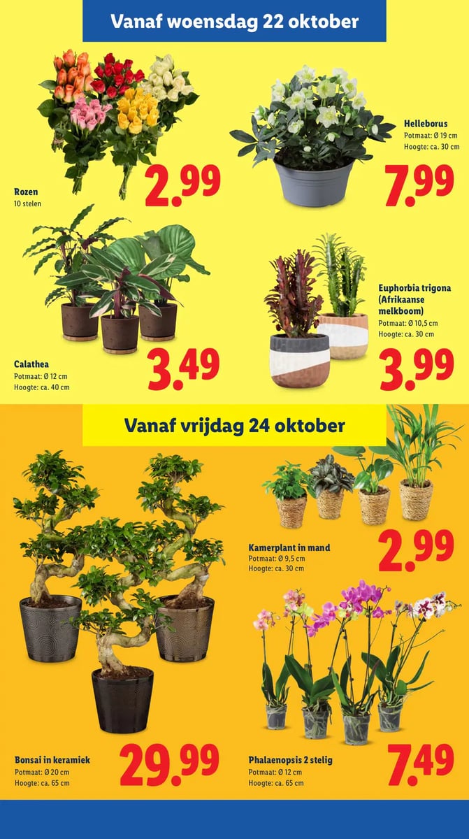 Lidl folder – pagina 23