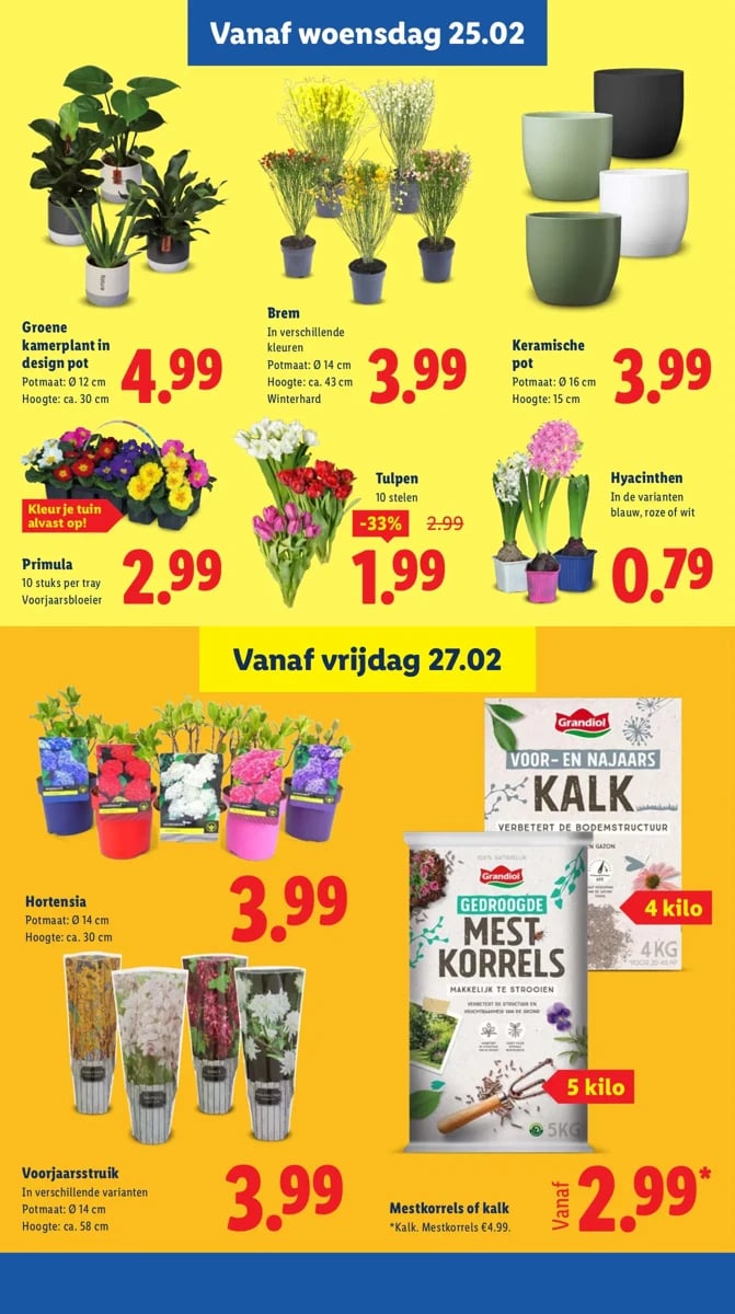 Lidl folder – pagina 17