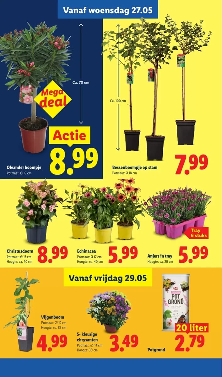 Lidl folder – pagina 33