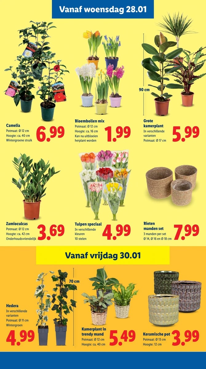 Lidl folder – pagina 20