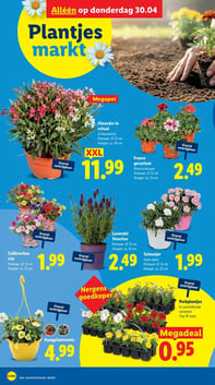 Tuinanjer aanbieding bij Lidl – geldig van 27.04.2026 t/m 03.05.2026