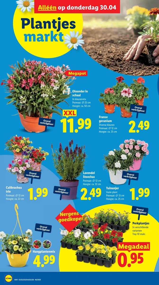 Lidl folder – pagina 26