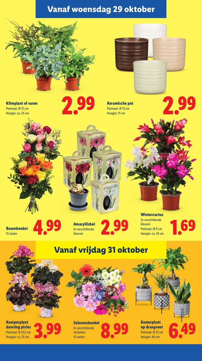 Lidl folder – pagina 21