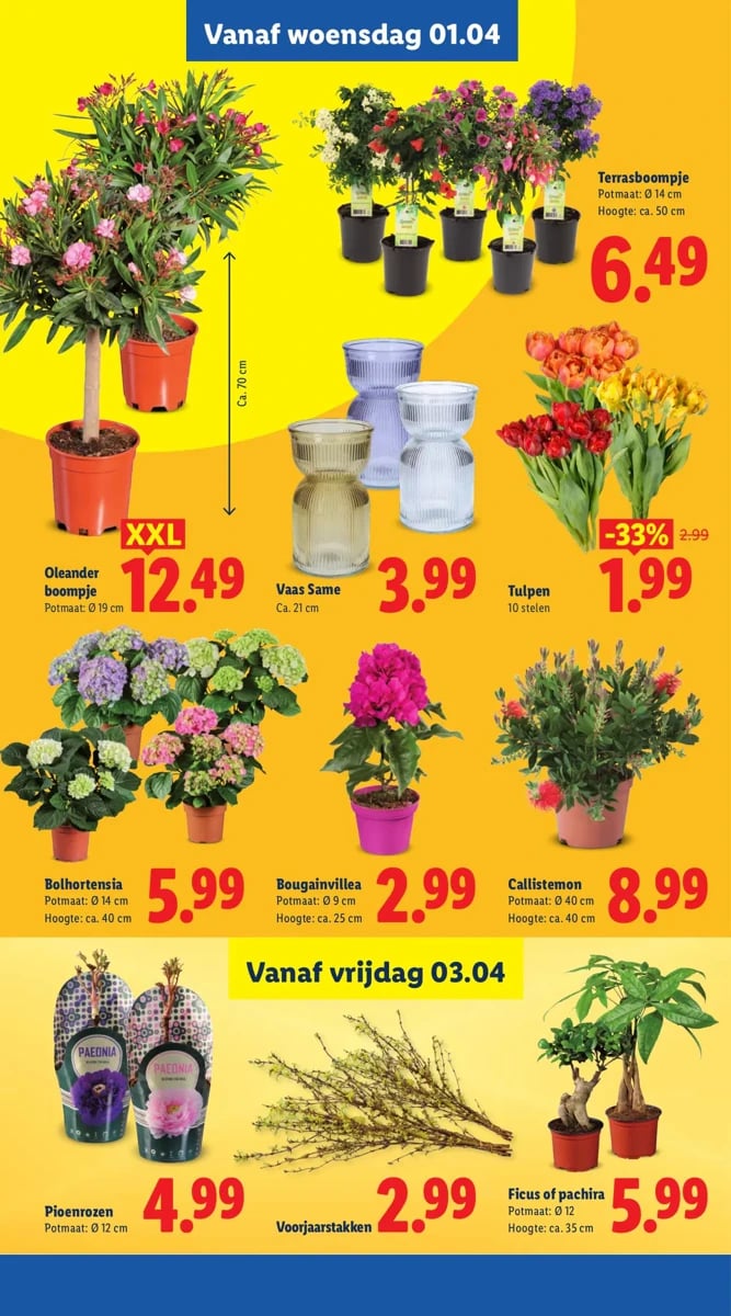 Lidl folder – pagina 40
