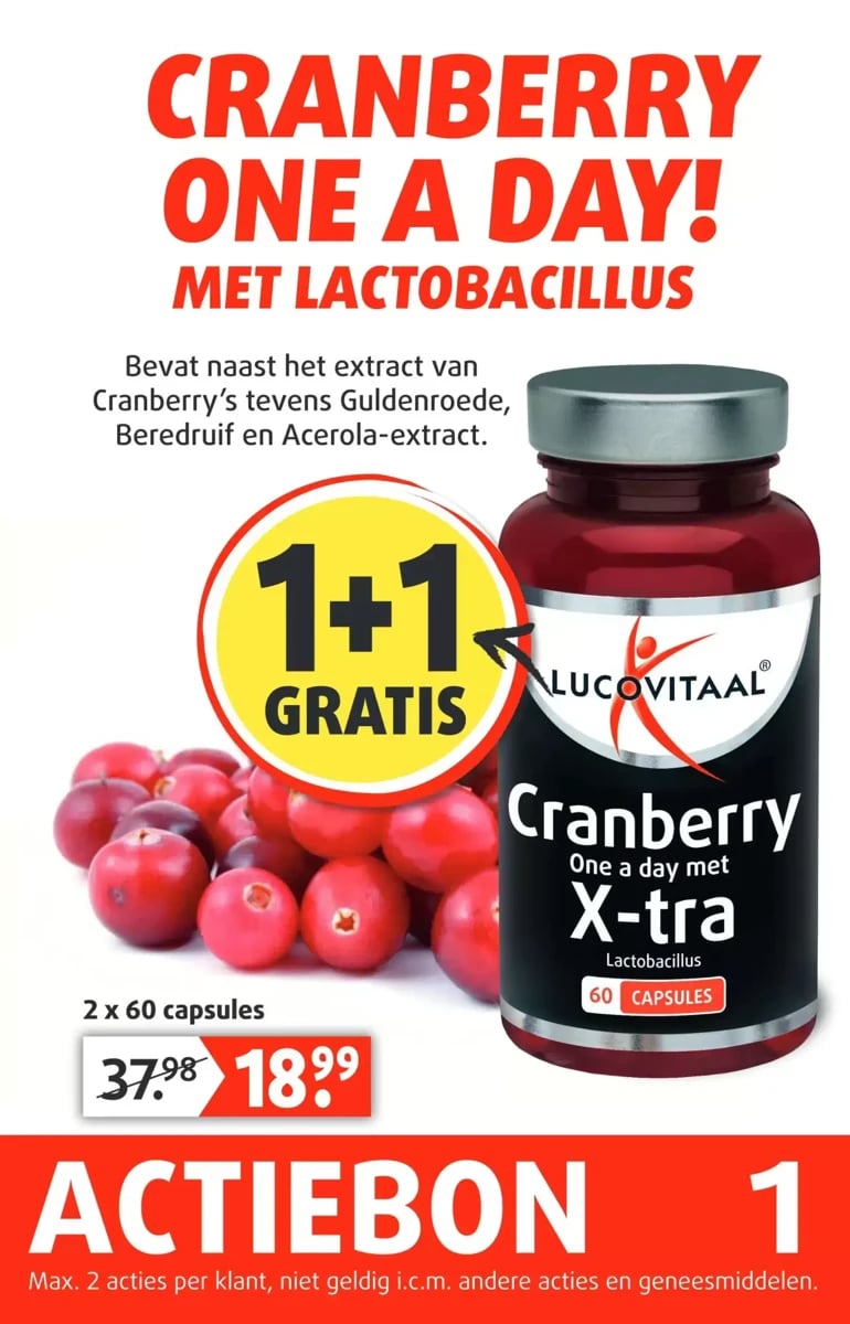 Lucovitaal folder – pagina 2