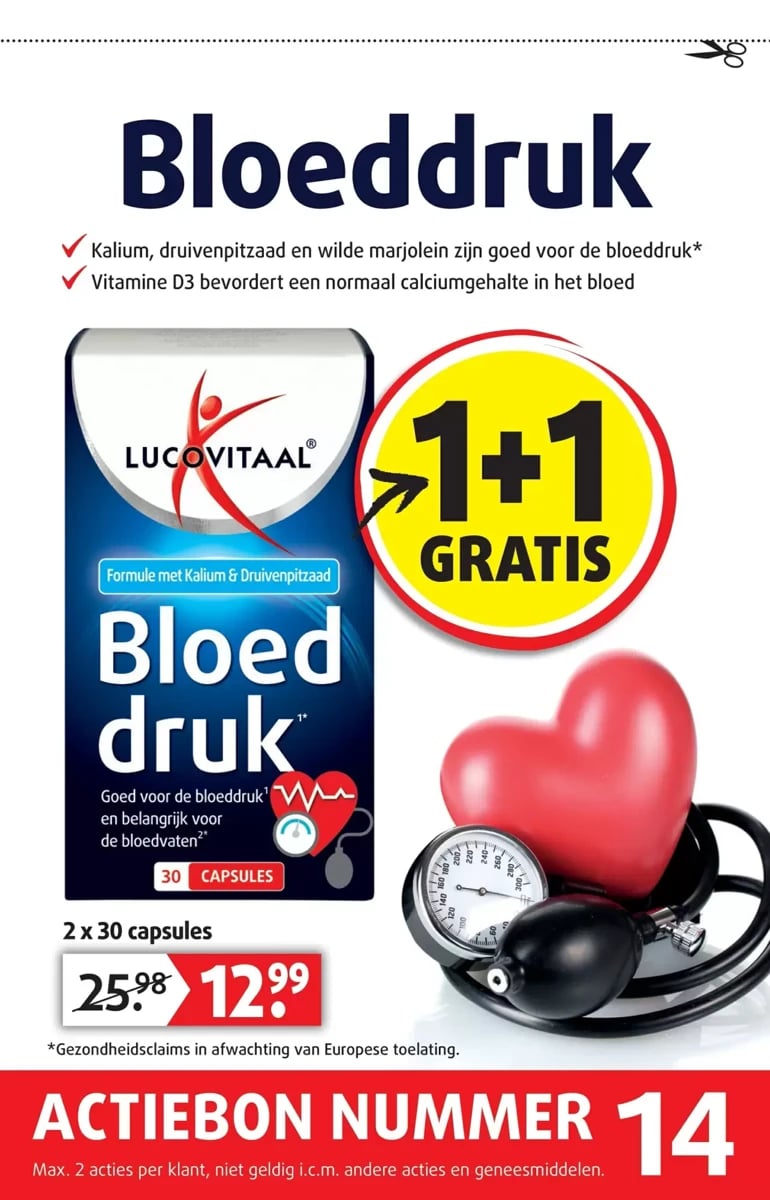 Lucovitaal folder – pagina 15