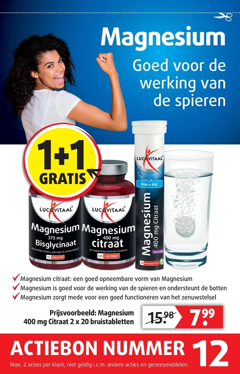 Lucovitaal folder – pagina 13
