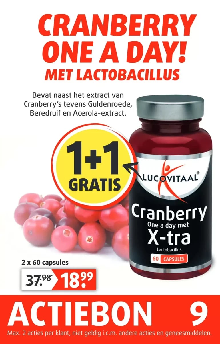Lucovitaal folder – pagina 10