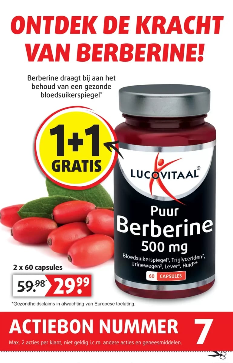 Lucovitaal folder – pagina 8