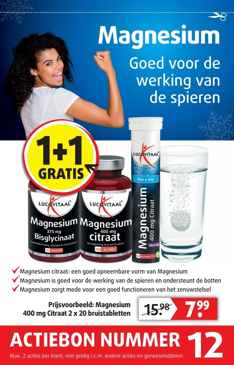 Lucovitaal folder – pagina 13