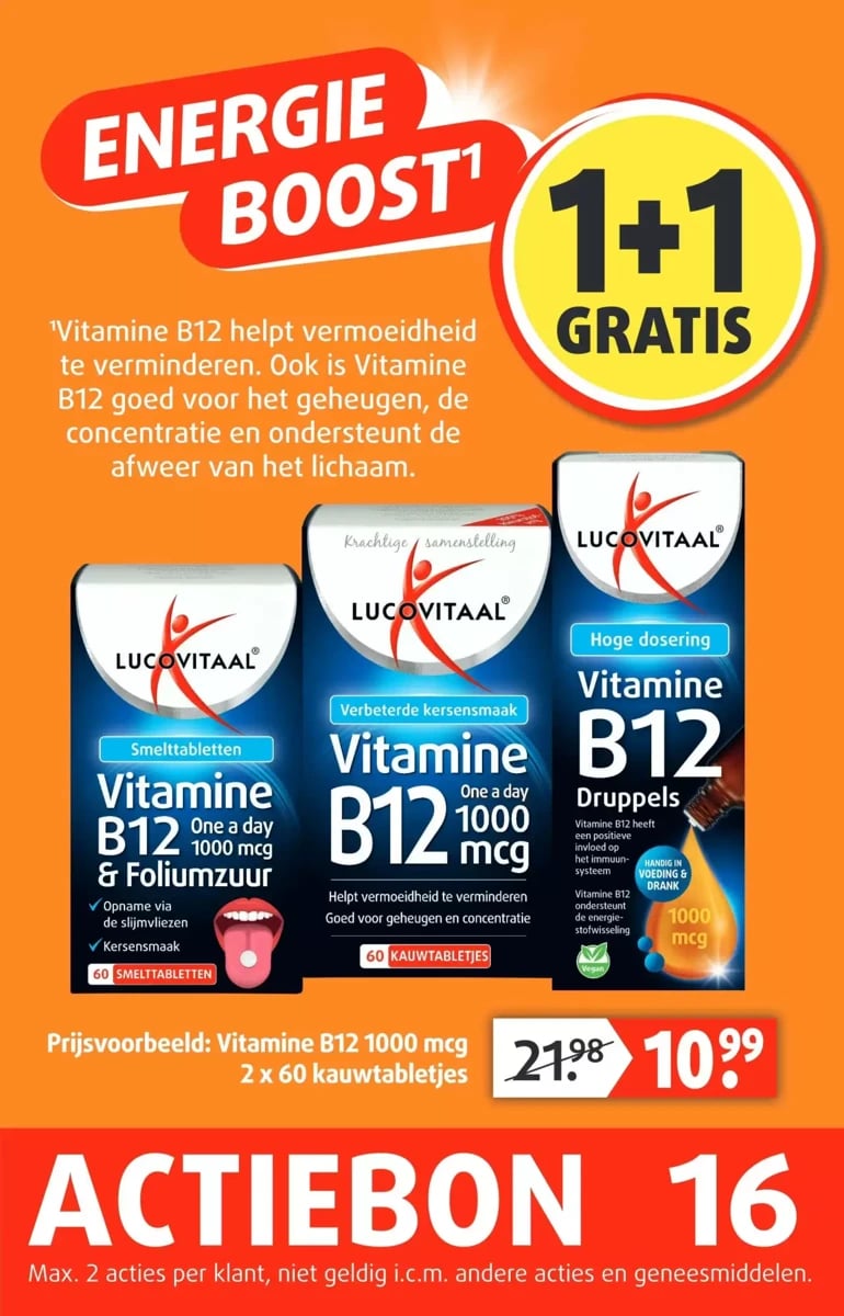 Lucovitaal folder – pagina 17