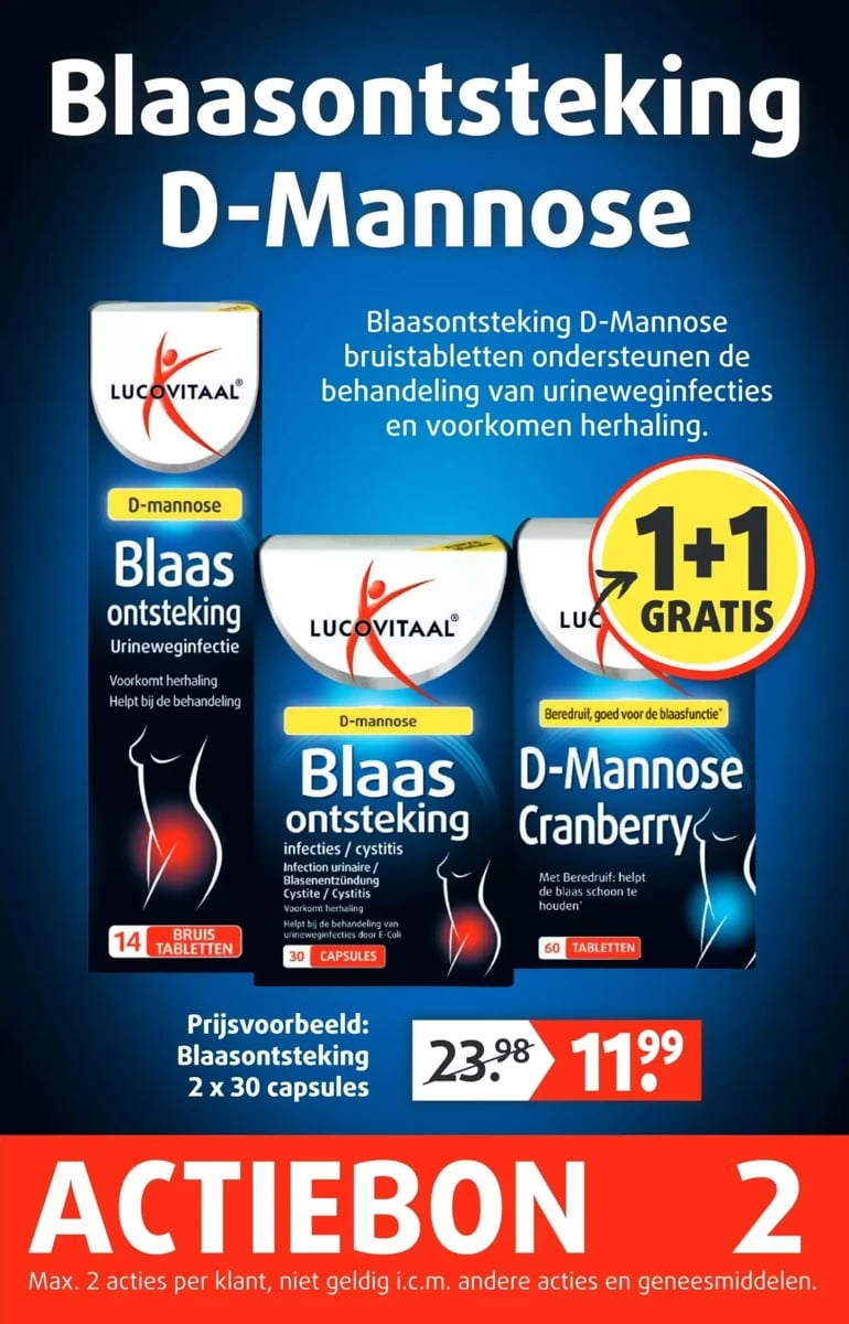 Lucovitaal folder – pagina 3