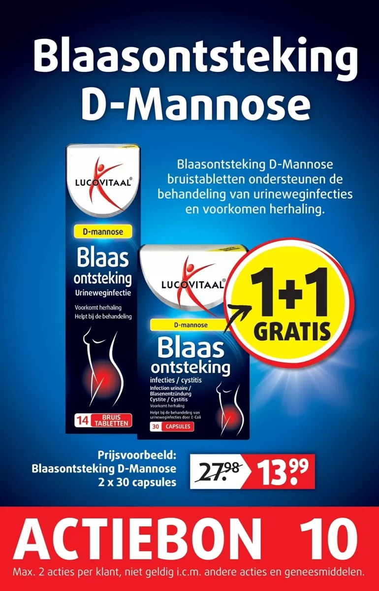Lucovitaal folder – pagina 11