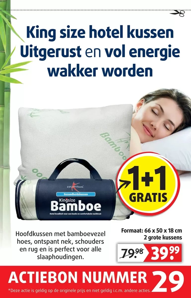Lucovitaal folder – pagina 31