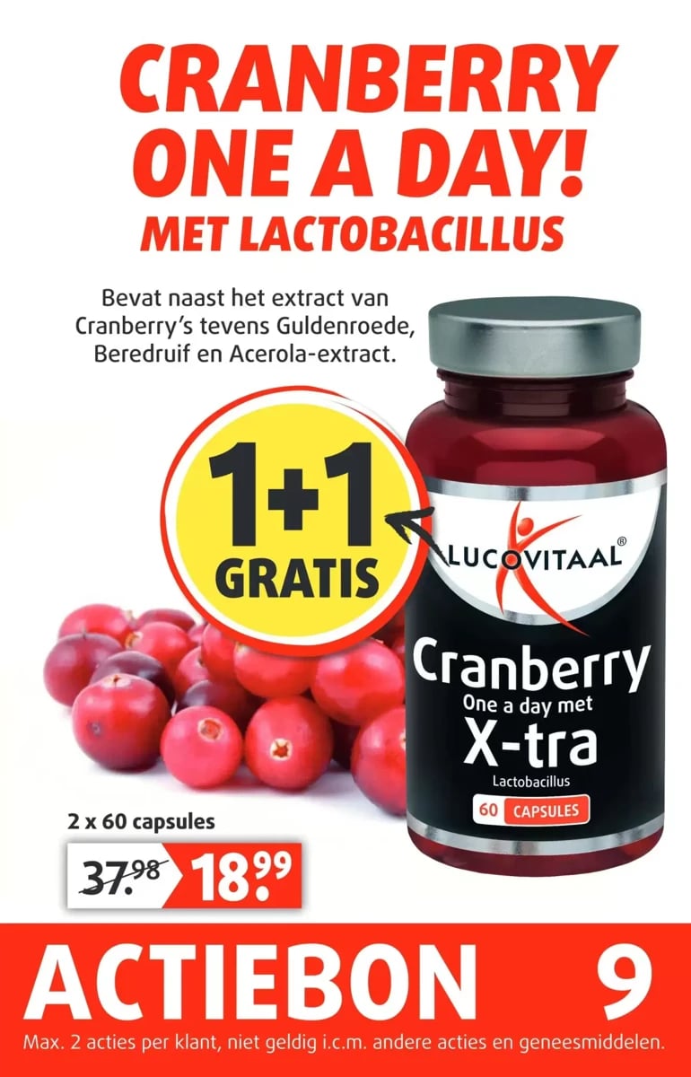 Lucovitaal folder – pagina 10