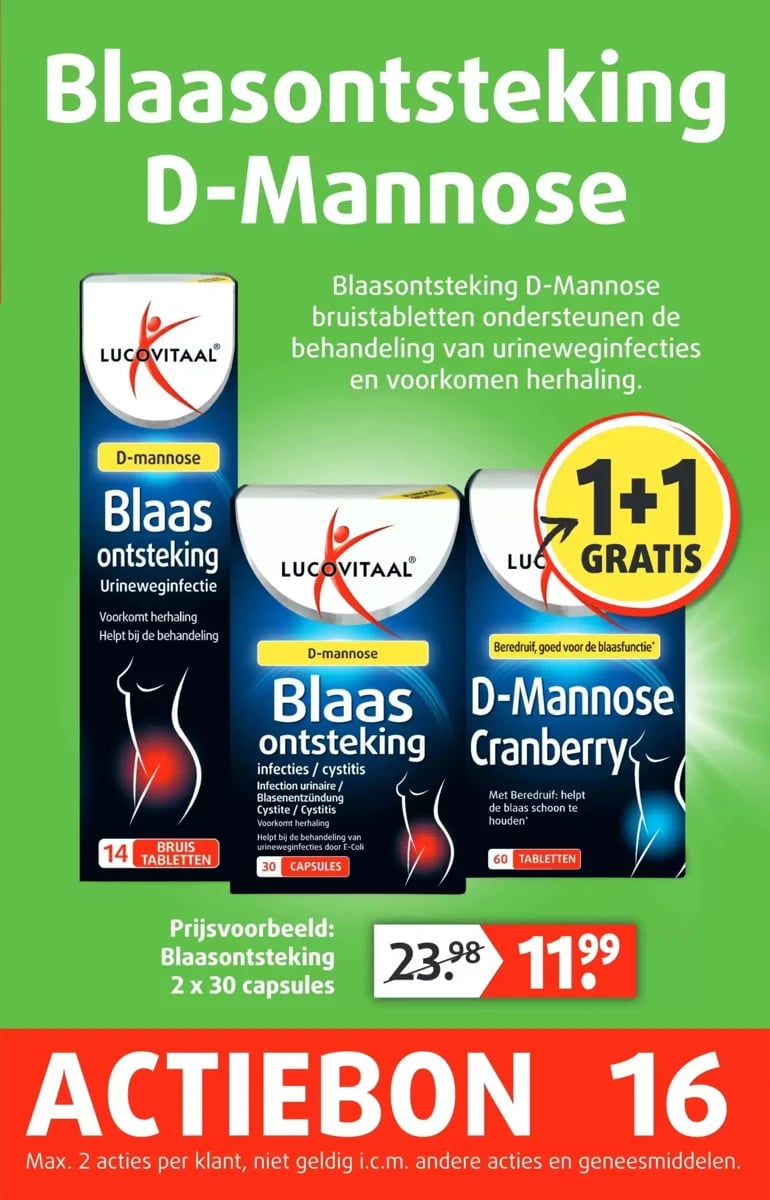 Lucovitaal folder – pagina 17