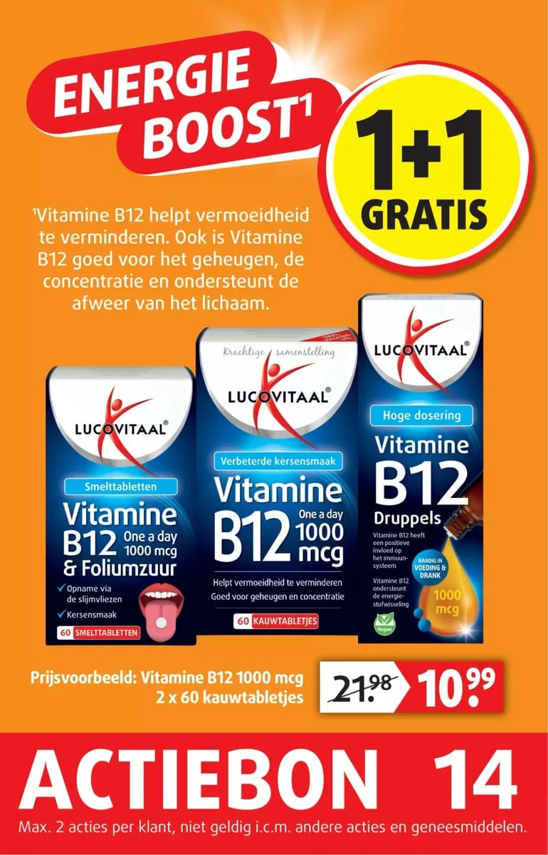 Lucovitaal folder – pagina 15