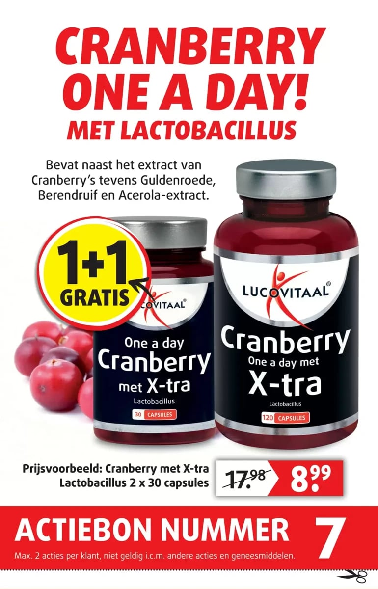 Lucovitaal folder – pagina 8