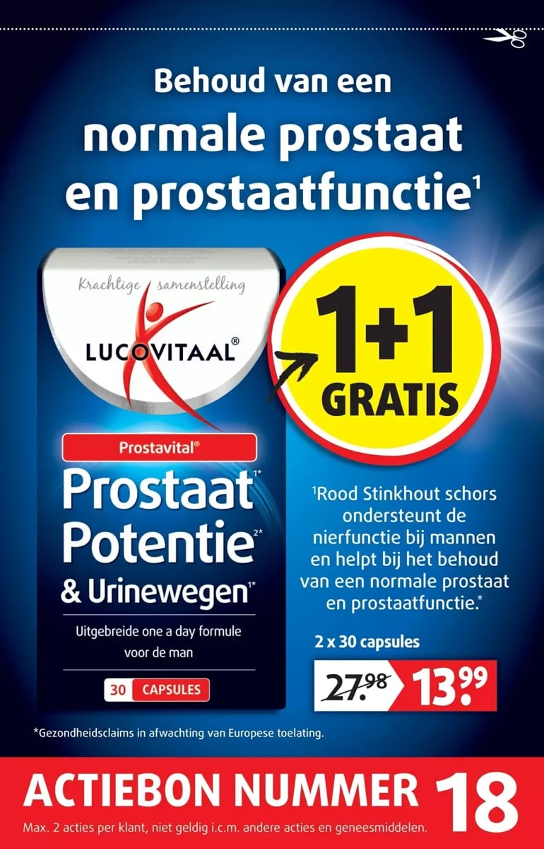 Lucovitaal folder – pagina 19