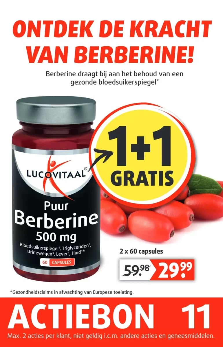 Lucovitaal folder – pagina 12