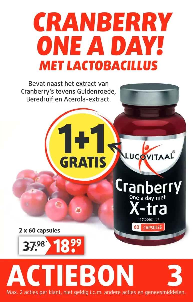 Lucovitaal folder – pagina 4