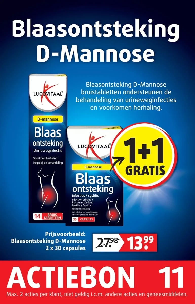 Lucovitaal folder – pagina 12