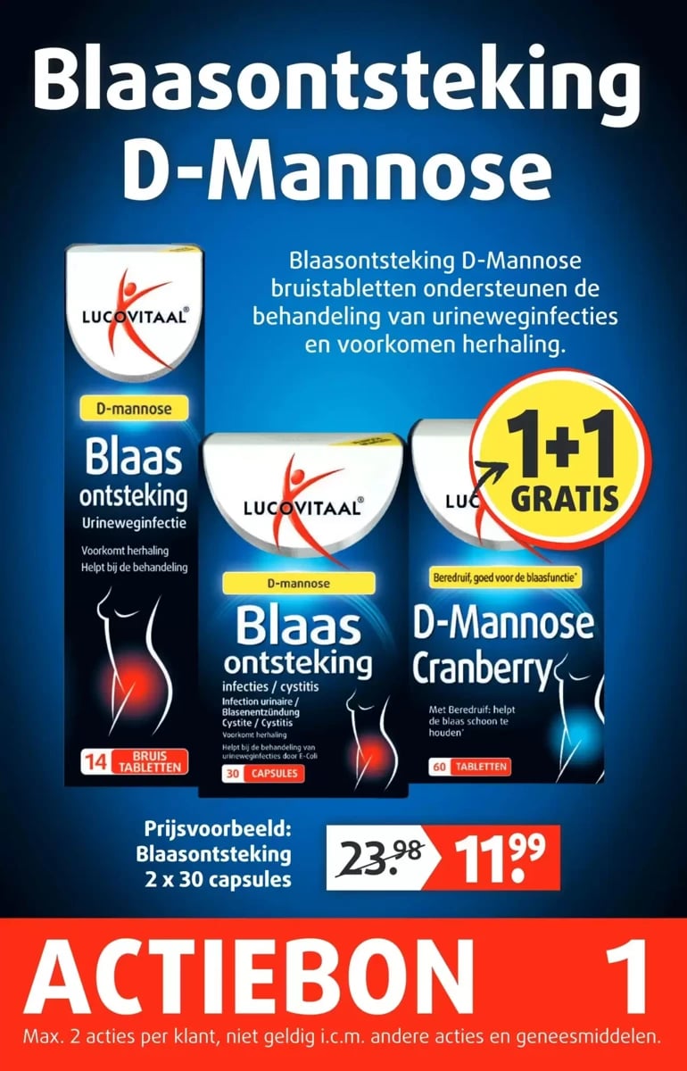Lucovitaal folder – pagina 2