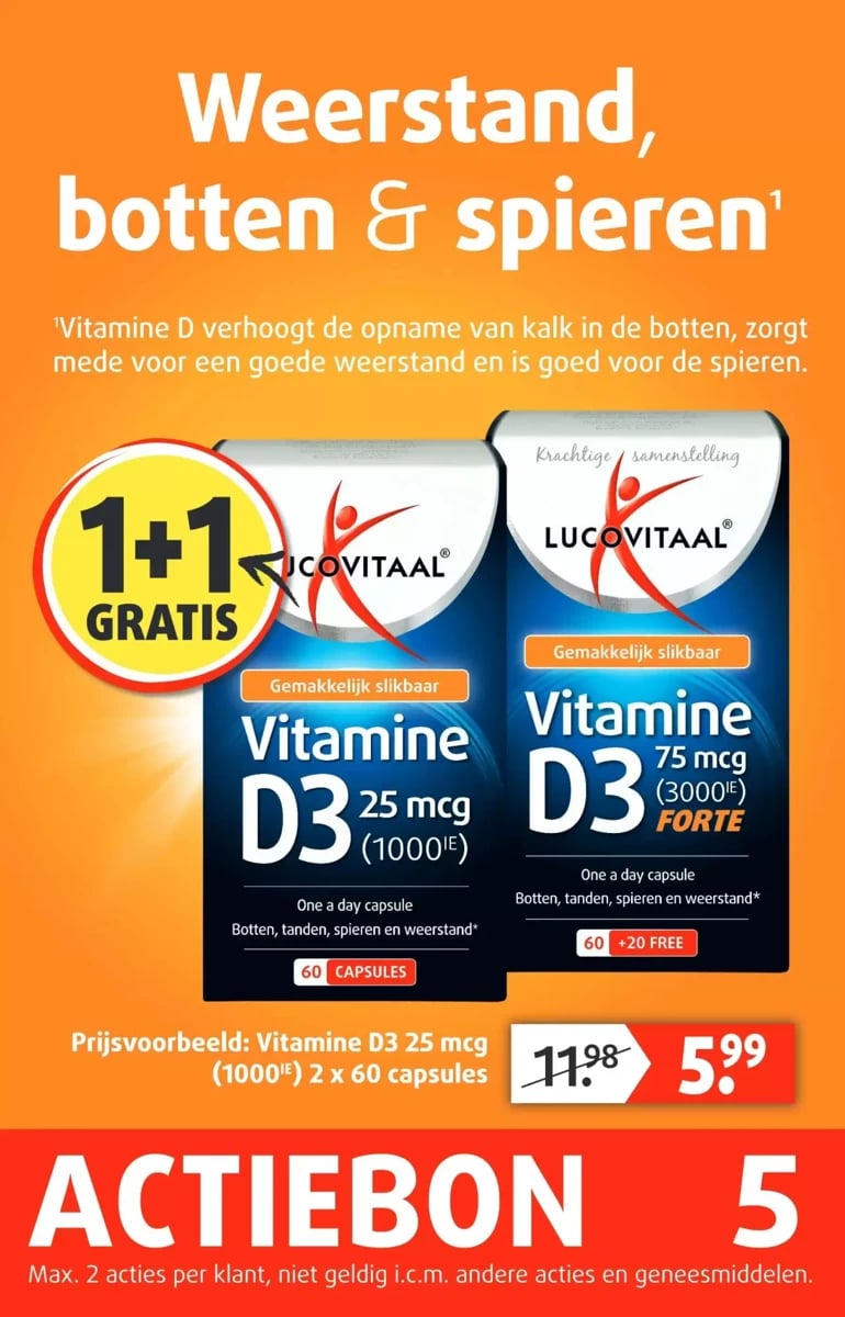 Lucovitaal folder – pagina 6