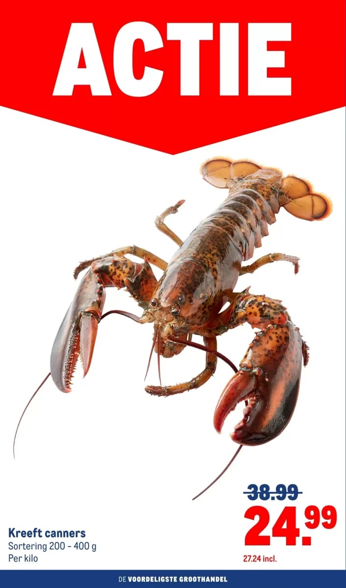 Makro folder – pagina 4