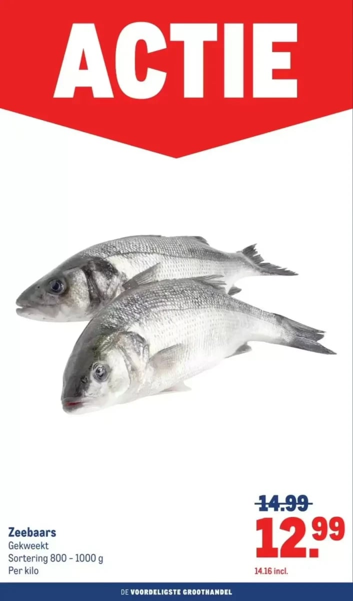 Makro folder – pagina 2
