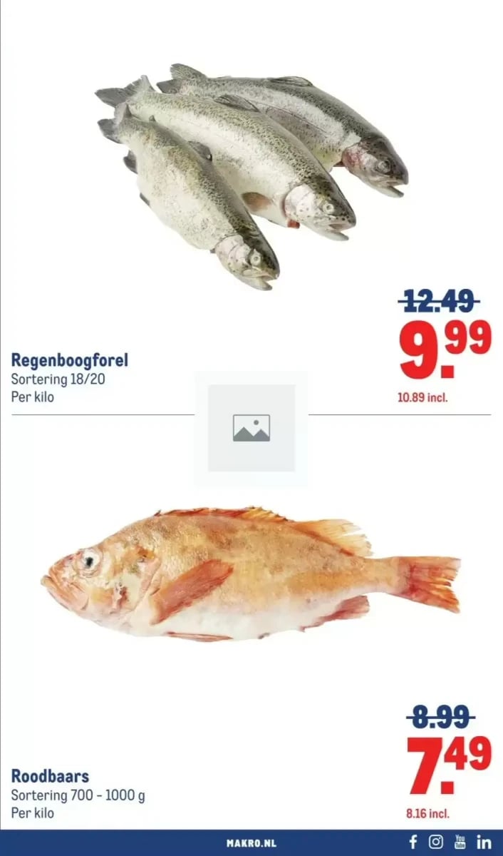 Makro folder – pagina 19