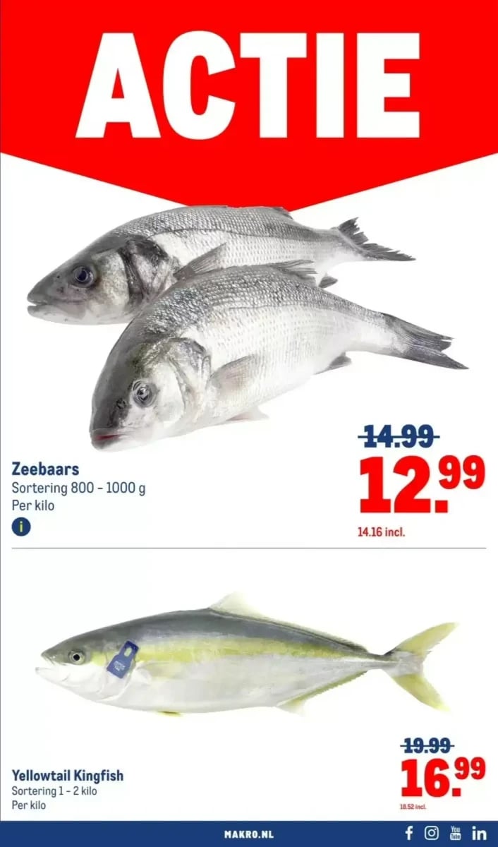 Makro folder – pagina 21