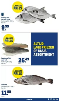 Zeebaarsfilet met vel aanbieding bij Makro – geldig van 14.01.2026 t/m 31.12.2026