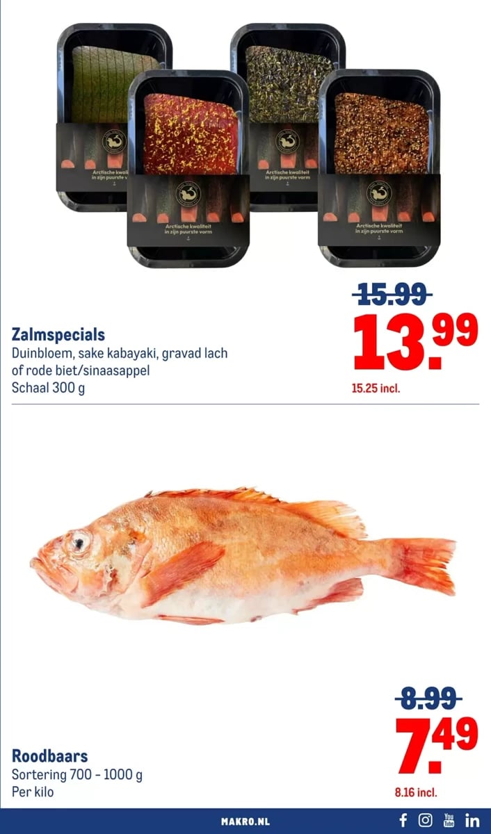 Makro folder – pagina 3