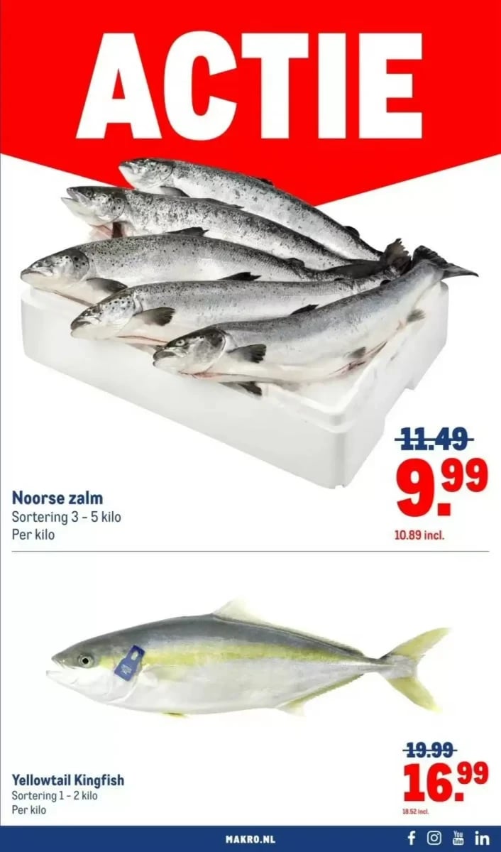 Makro folder – pagina 19